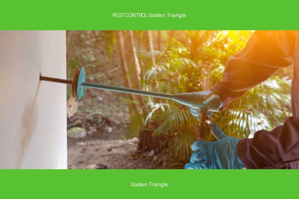 PEST CONTROL Golden Triangle